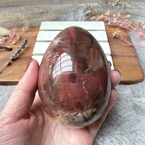 Gorgeous Large Petrified Wood Egg - Picture 9 of 9